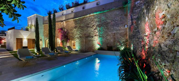 克鲁新小宫殿艺术 Spa 酒店(Sa Creu Nova Petit Palais Art & Spa)图片