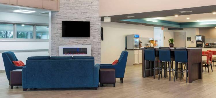 舒适套房酒店(Comfort Suites)图片