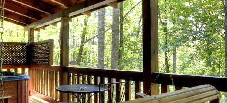 舒适的小屋逃生到皮杰恩福奇热水浴缸7分钟(Cozy Cabin Escape 7Mins to Pigeon Forge Hot Tub)图片