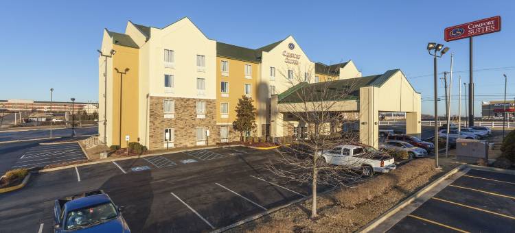 里奇蒙舒适套房酒店(Comfort Suites)图片