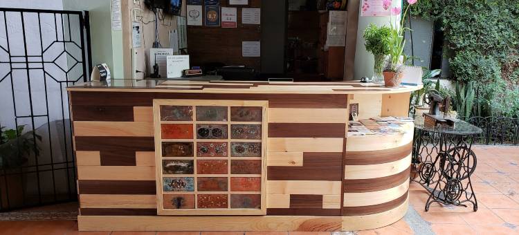 圣路易斯酒店(Hotel San Luis)图片