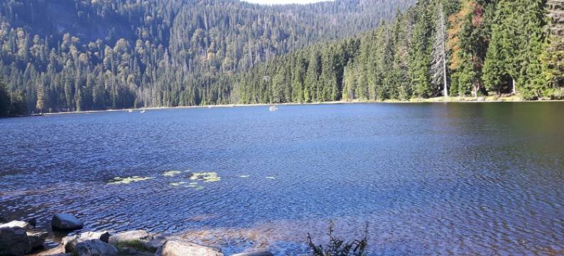 路德维希公寓旅馆(Pension / Ferienwohnungen Ludwig)图片