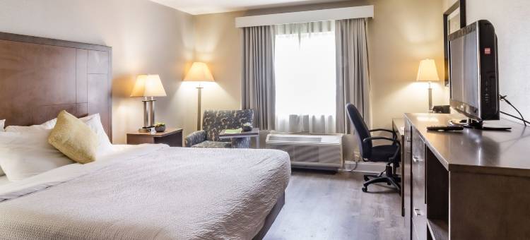 里士满南拉昆塔温德姆酒店(La Quinta Inn by Wyndham Richmond South)图片