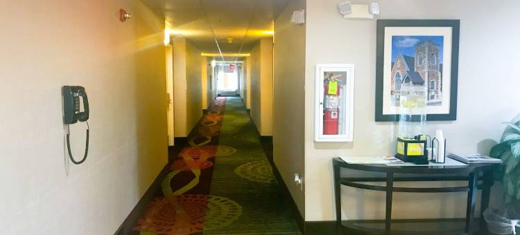 阿什维尔北部舒适酒店(Comfort Inn North of Asheville)图片