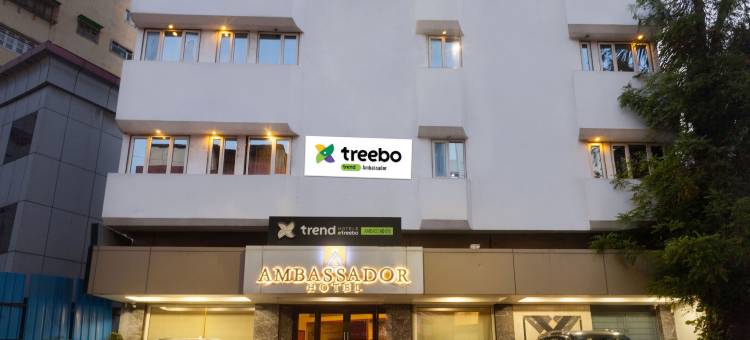 Treebo 大使馆(Treebo Ambassador)图片