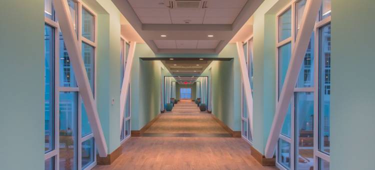 巴拿马城海滩海滨欢朋套房酒店(Hampton Inn and Suites Panama City Beach/Beachfront)图片