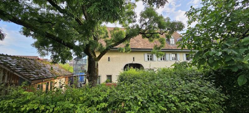 蓝泡泡墙酒店(Blue Wall Bnb)图片