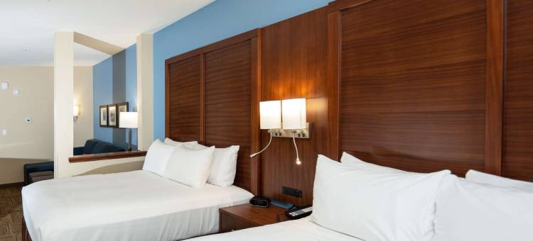 舒适套房(Comfort Suites)图片