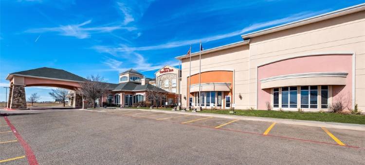 阿马里洛希尔顿花园旅馆(Hilton Garden Inn Amarillo)图片