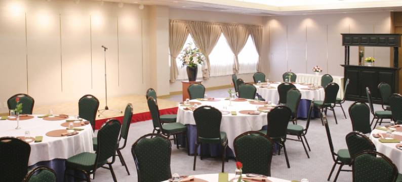 新指挥官酒店-大阪寝屋川(New Commander Hotel Osaka Neyagawa)图片