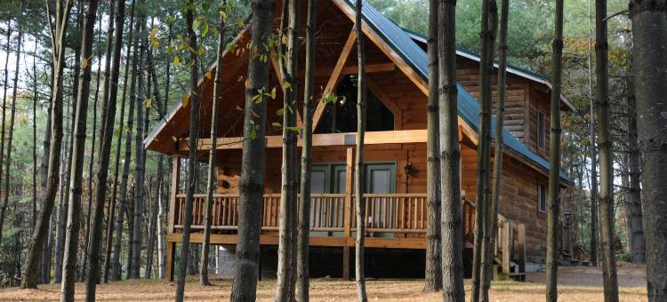 松树天堂小屋(The Cabins at Pine Haven - Beckley)图片