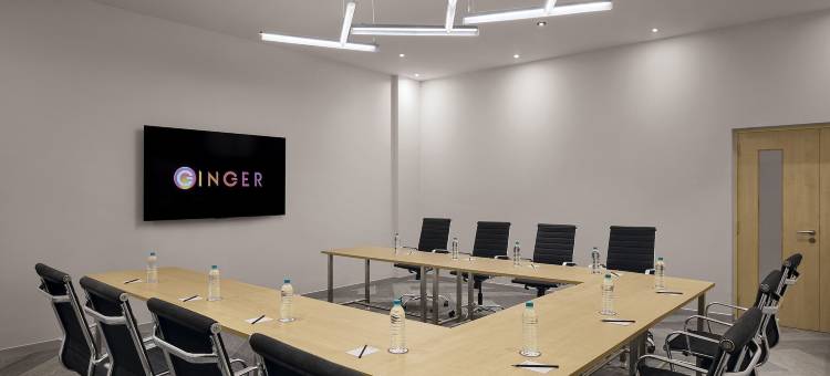 姜尼达133区(Ginger Noida Sector 133)图片