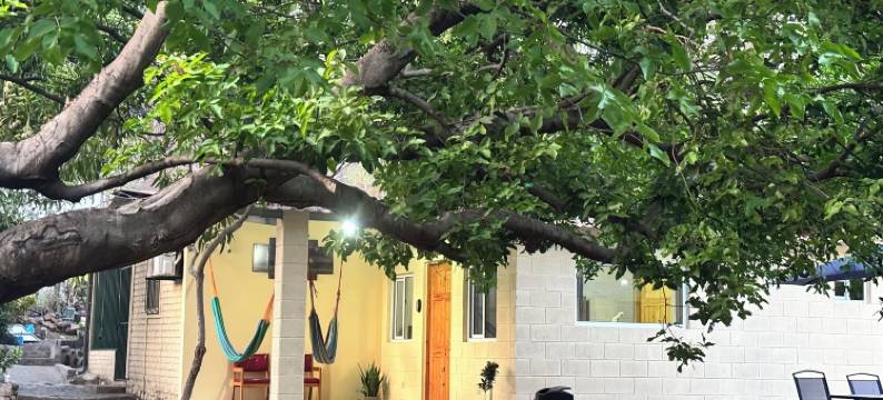 卡米拉斯旅馆(Hostal Camila’s)图片