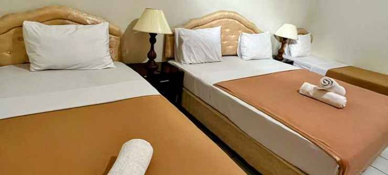 德埃默里克经济型酒店(D'Emmerick Budget Hotel)图片