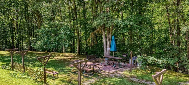 新装修的五星级公寓泳池美景(1023 English Mtn Condo by Beyond Expectations)图片