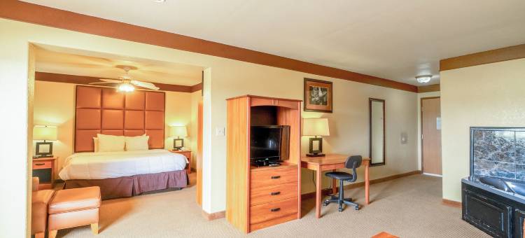 OYO比维尔US-181德州旅馆(Texan Inn by OYO Beeville US-181)图片