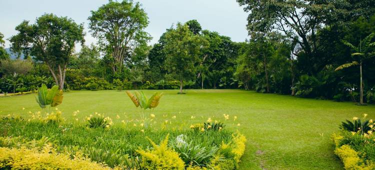 大猩猩基伍湖酒店(Gorillas Lake Kivu Hotel)图片
