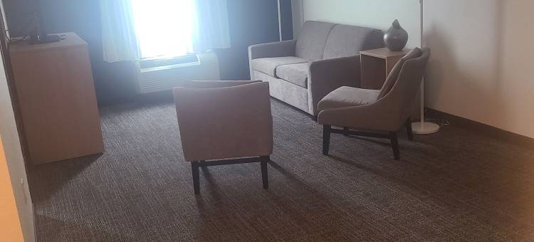 多森东舒适套房酒店(Comfort Inn & Suites Dothan East)图片
