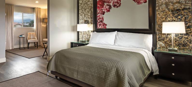 汤泉酒店&温泉SPA(Onsen Hotel & Spa)图片