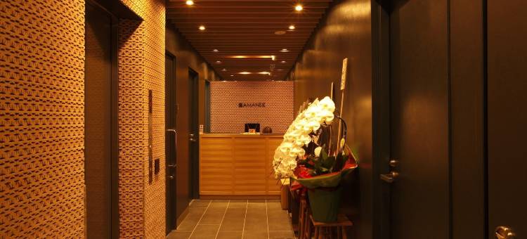 HOTEL AMANEK 银座东部(HOTEL AMANEK Ginza East)图片