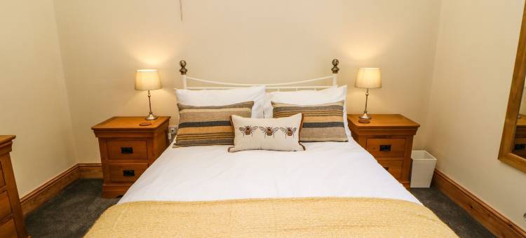 西部马鞍(West Reins)图片