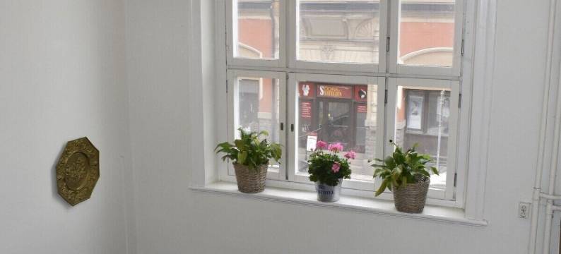 最佳客人青年旅馆(Best Guest)图片