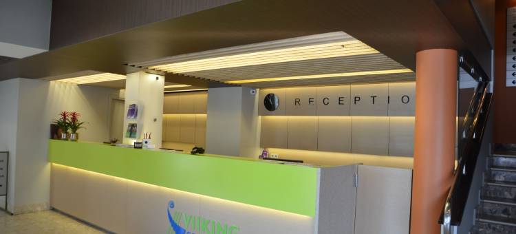 维金水疗酒店(Viiking Spa Hotel)图片