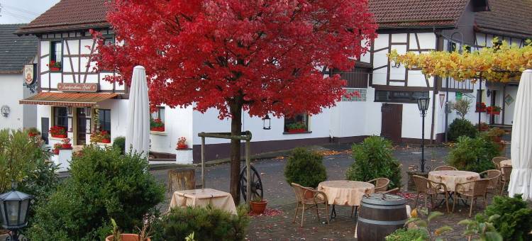 法尔兹兰德酒店(Landgasthaus Pfahl)图片