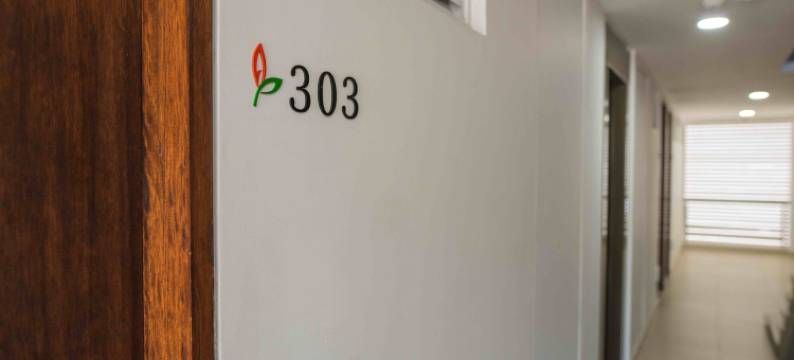 奥托普拉多波帕扬酒店(Altoprado Popayan)图片