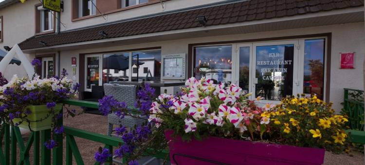 中央 Spa 旅馆(Logis Hôtel Centrotel et Spa Bulles d'Allier)图片