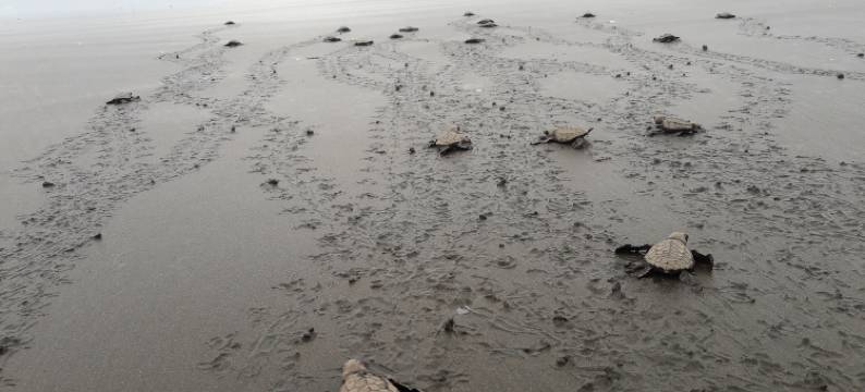 拉帕查玛玛酒店(Hostal Pachamama)图片