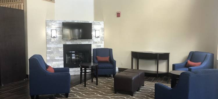 舒适套房酒店(Comfort Suites)图片