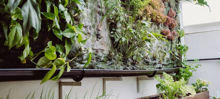 Hotel Catalina Plaza Catalina广场酒店(Hotel Catalina Plaza Sostenible)图片