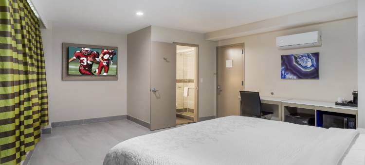 红屋顶PLUS+布鲁克林-弗拉特布什大道(Red Roof PLUS+ Brooklyn - Flatbush Ave)图片