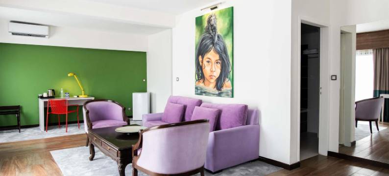 宜必思尚品卡宴中心亚马逊尼亚酒店(Ibis Styles Cayenne Centre Amazonia)图片