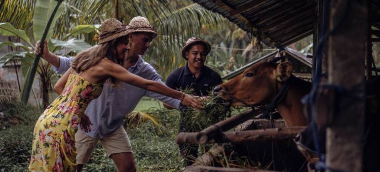 乌布Maar度假村由Ini Vie Hospitality运营(Maar Resort Ubud by Ini Vie Hospitality)图片