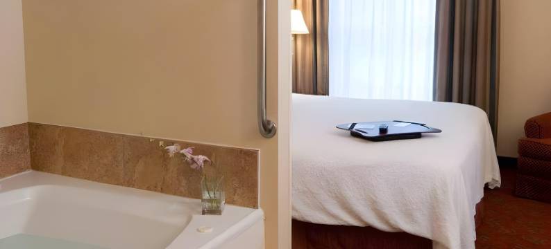 希尔顿欢朋套房酒店-鸽子谷音乐路(Hampton Inn & Suites Pigeon Forge on the Parkway)图片