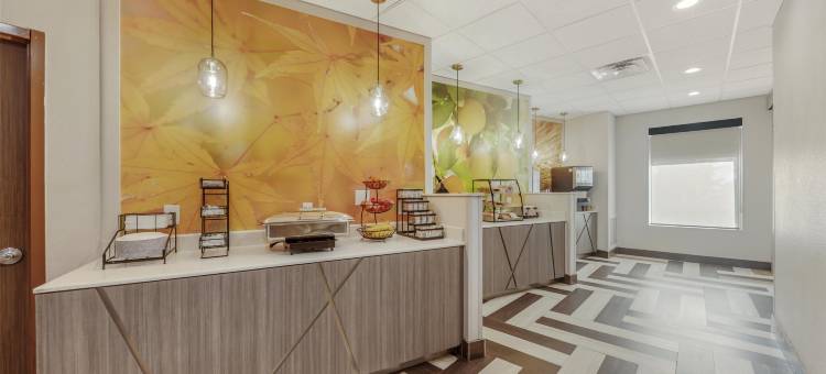 贝斯特韦斯特格林橡树套房酒店(Best Western Green Oak Inn  Suites)图片