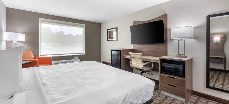 贝斯特韦斯特曼彻斯特酒店(Best Western Manchester)图片