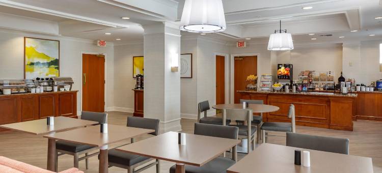 舒适酒店套房(Comfort Inn & Suites)图片