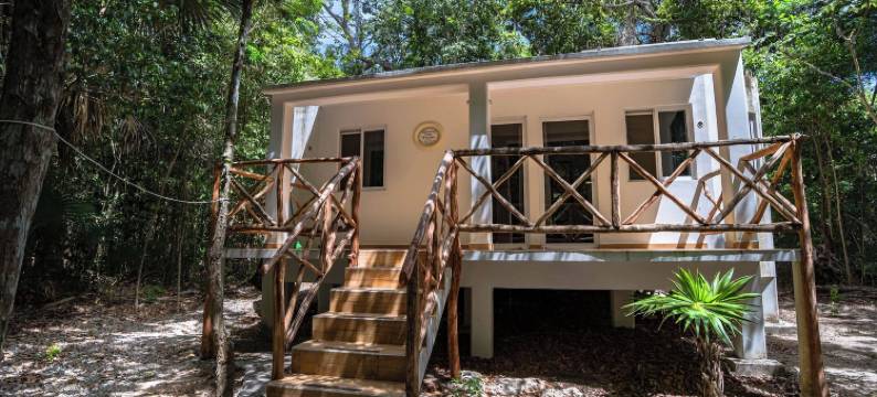 乔丽丛林生态酒店(Jolie Jungle Eco Hotel)图片