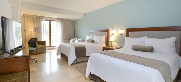 HB哈拉帕酒店(HB Xalapa)图片