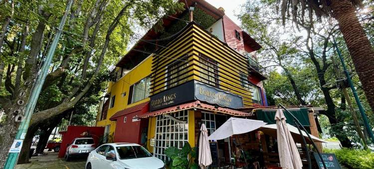 OYO安苏雷斯之家(OYO Casa Anzures Mexico City)图片