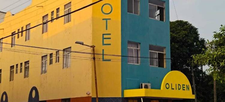 欧里登酒店(Hotel Oliden)图片