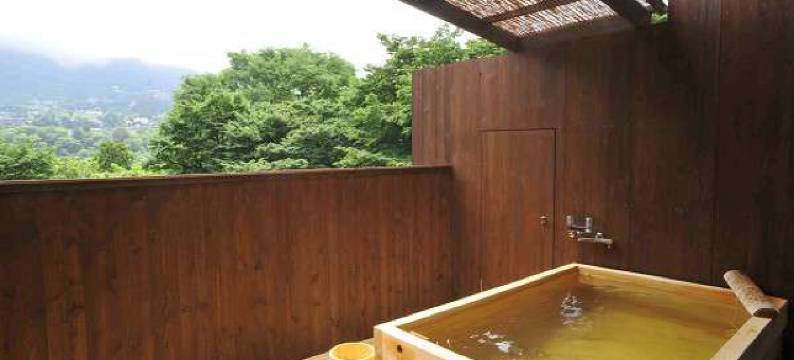 源泉放流之宿 樱休庵(Okyuan)图片