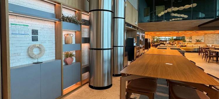 雷克斯菲诺富特酒店(Novotel Recife Marina)图片