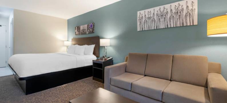 2024年新装修的德尔顿湖-威斯康星戴尔舒眠旅馆和套房(Sleep Inn & Suites)图片