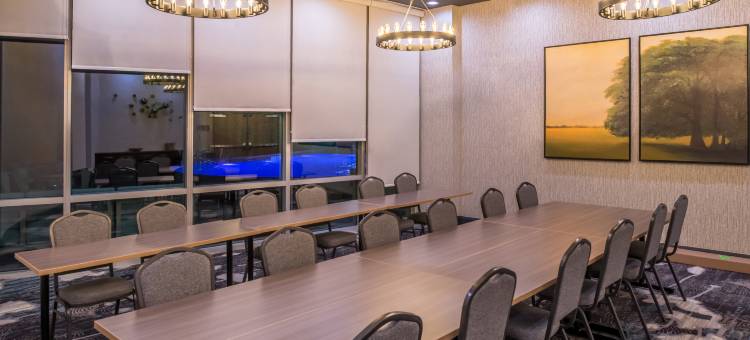 弗里斯科英迪格酒店(Hotel Indigo Frisco)图片