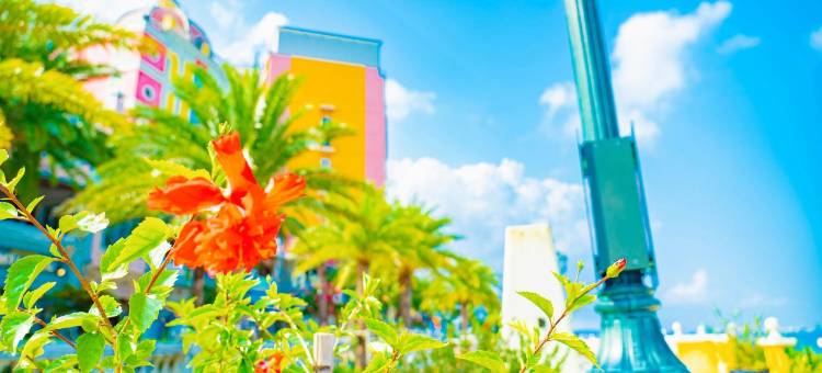 Mr.KINJO in GRAND BLUE CHATAN(Mr.KINJO in GRAND BLUE CHATAN)图片