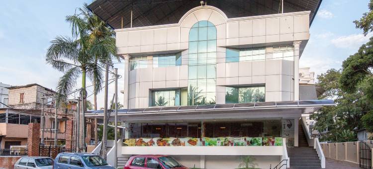 Treebo Trend Adrak图片